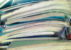 kerusakan dokumen akibat jamur